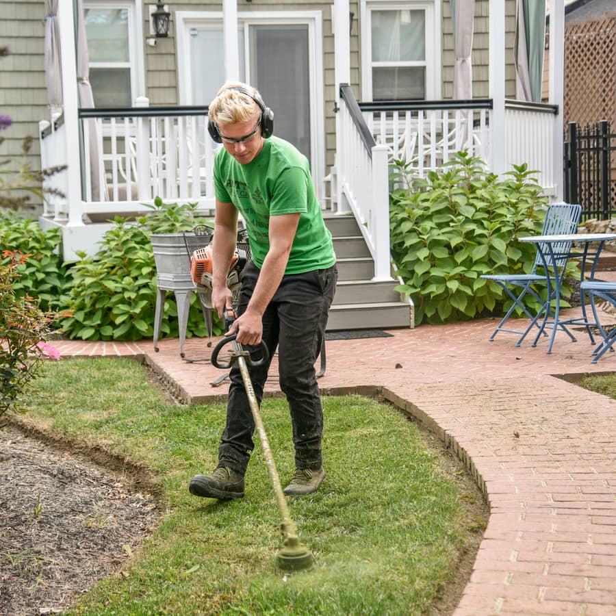 Landscaping content by Porter Media in Tampa Bay