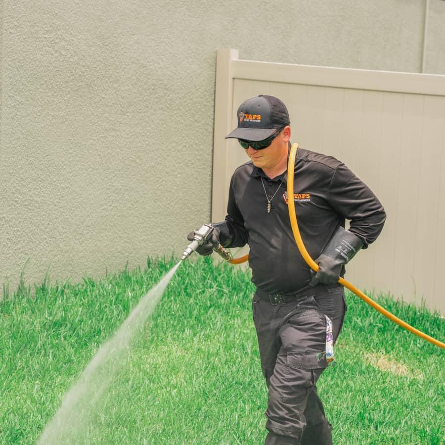 Pest Control content by Porter Media in Tampa Bay